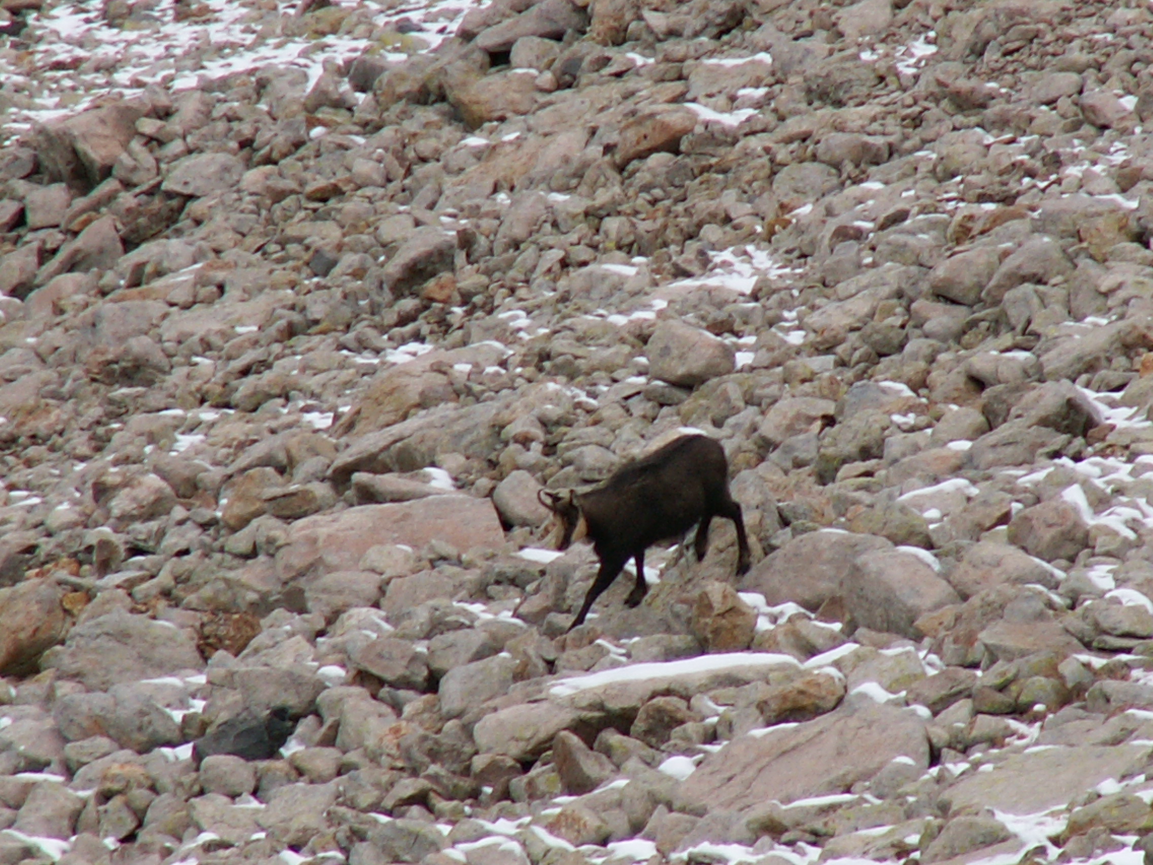Photo Alpes Oisans Louer gite